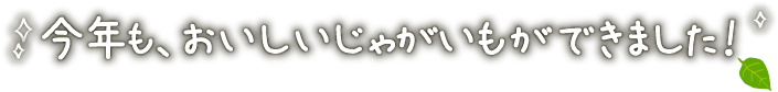 今年も、おいしいじゃがいもができました！