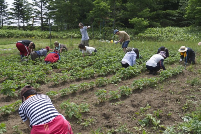 140407_OF広報第7回写真